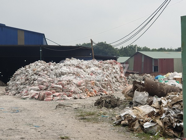 Nhà xưởng tái chế bao bì trên khu đất tại tờ bản đồ số 9 phường Phước Tân gồm các thửa: thửa số 7 diện tích 1.301m2 và thửa 8 diện tích 2.192m2 đất trồng lúa do ông Hoàng Thế Kỷ là chủ sử dụng, thửa số 6 diện tích 634m2 đất ở đô thị, đất trồng cây hàng năm do ông Nguyễn Đình Du và bà Trần Thị Ánh Nguyệt là chủ sử dụng (Hình ảnh ghi nhận ngày 25/10/2020)