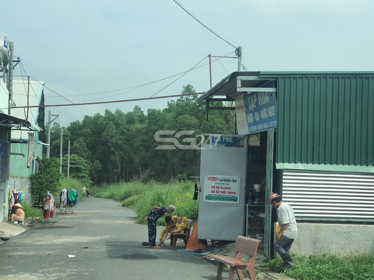 Tại thửa 482 cũng đã đưa vào sử dụng công trình trái phép trên đất trồng cây lâu năm