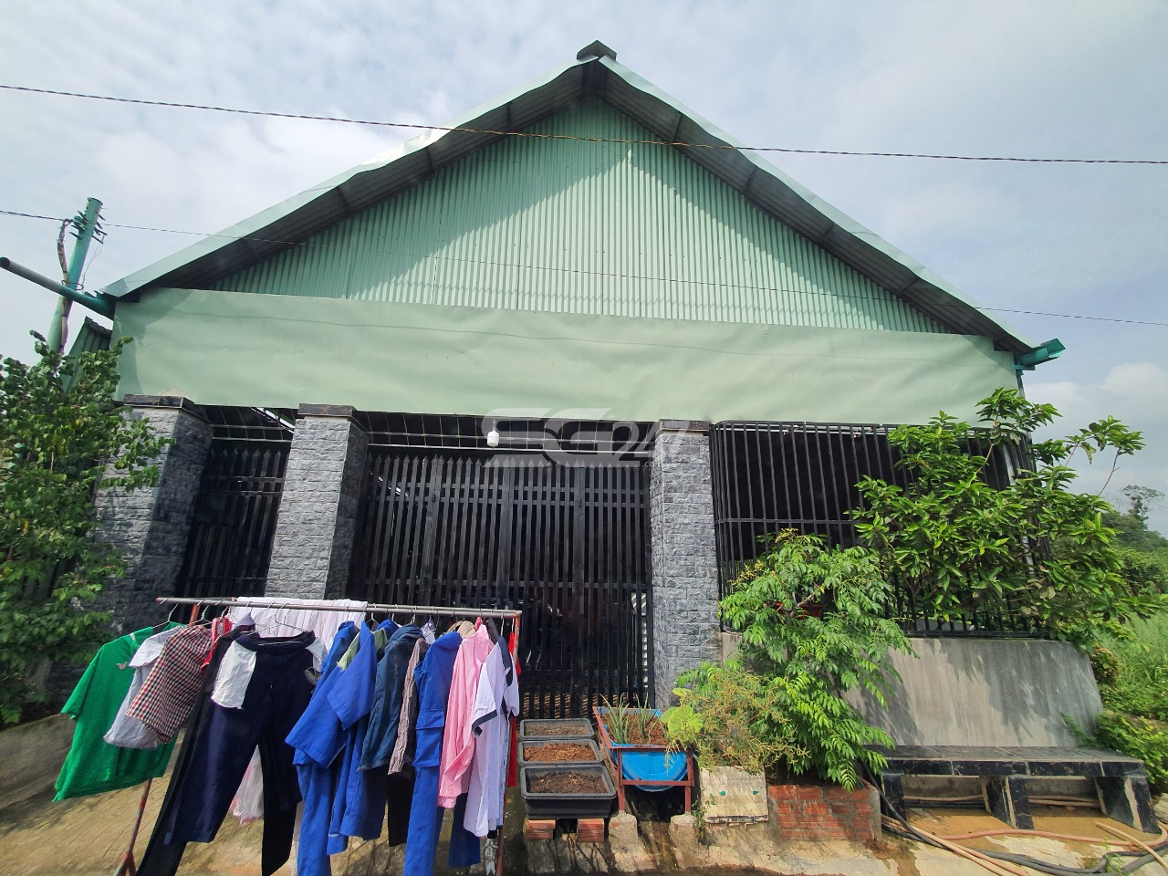 Hình ảnh nhà ở không phép tại thửa 486