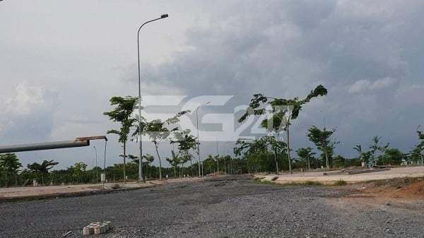 Đến thời điểm hiện tại, dự án King Bay do công ty cổ phần Free Land làm chủ đầu tư đang trong giai đoạn hoàn thiện hạ tầng