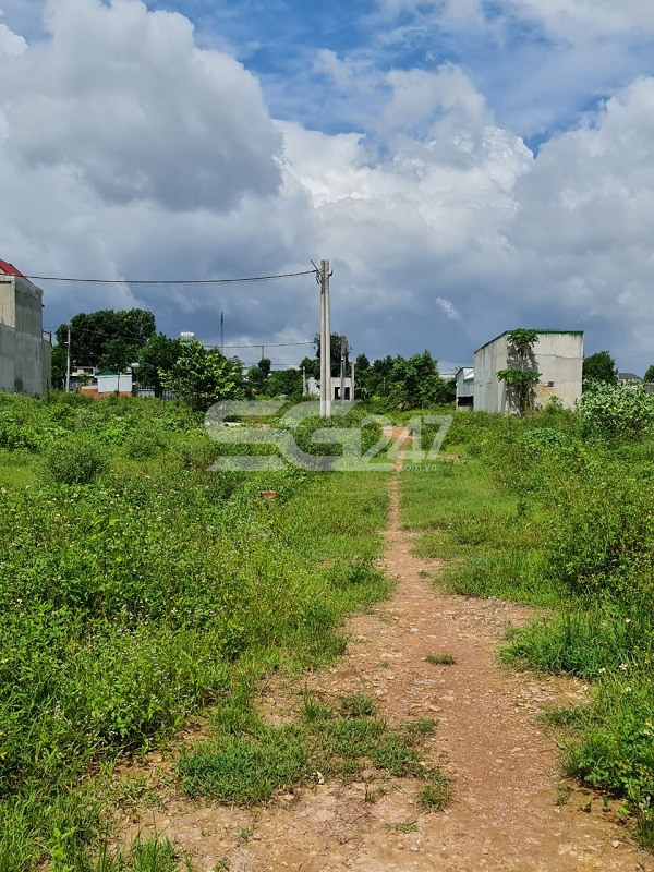 Thế nhưng thực tế tại khu đất thì đoạn suối Đỉa này không còn hiện diện