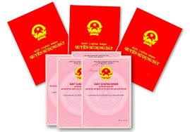 Hình minh họa