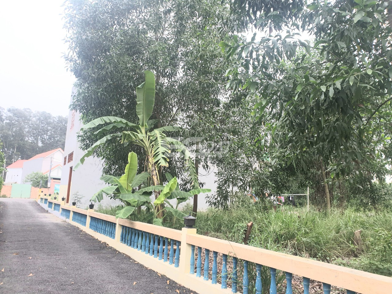 Hình ảnh: Trên đất trồng lúa tại tờ 87 thửa 63 do ông Nguyễn Minh Nhân là chủ sử dụng thuộc phường Phước Tân, Biên Hòa, Đồng Nai lại được trồng cây tràm (cây keo) không phù hợp với mục đích sử dụng đất