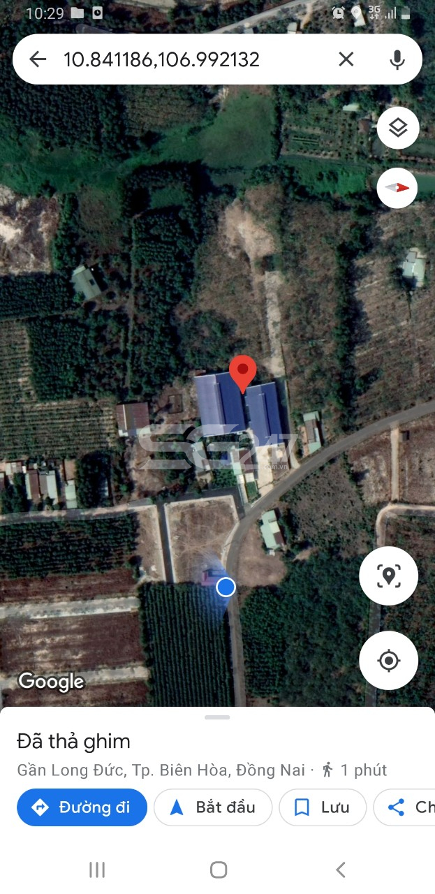 Hình ảnh theo google map hai nhà xưởng của công ty TNHH Mộc Jusen được xây dựng và hoạt động chế biến gỗ trái phép trên 4.714m2 đất trồng cây lâu năm, đất ở tại nông thôn tại thửa 108 và thửa 40 cùng tờ bản đồ 11 thuộc xã Long Đức, huyện Long Thành, tỉnh Đồng Nai do ông Lê Đình Danh là chủ sử dụng gây ô nhiễm môi trường