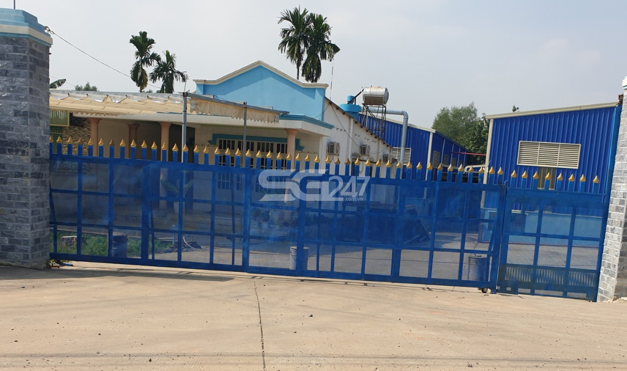 Hai nhà xưởng của công ty TNHH Mộc Jusen được xây dựng và hoạt động chế biến gỗ trái phép trên 4.714m2 đất trồng cây lâu năm, đất ở tại nông thôn tại thửa 108 và thửa 40 cùng tờ bản đồ 11 thuộc xã Long Đức, huyện Long Thành, tỉnh Đồng Nai do ông Lê Đình Danh là chủ sử dụng gây ô nhiễm môi trường