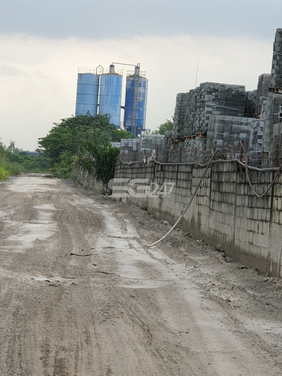 Con đường vào Trạm trộn bê tông của Công ty Đại Lộc Phát được xây dựng trái phép trên khu đất nông nghiệp