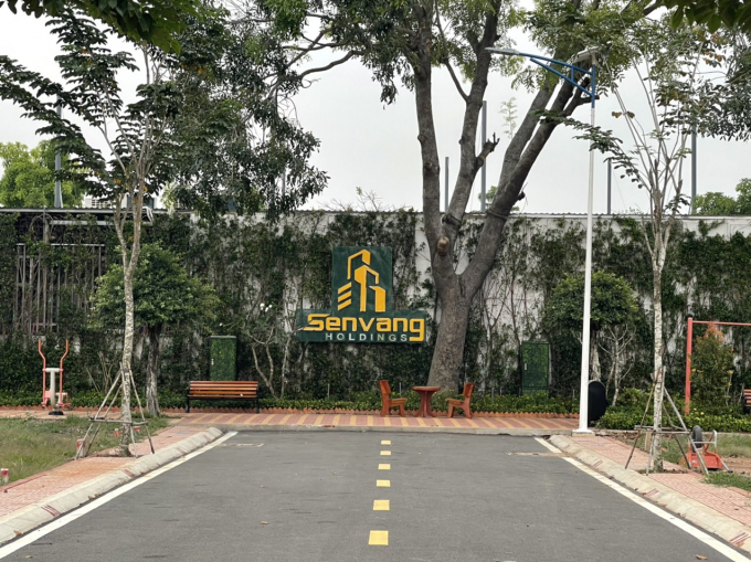 Phía trong khu đất của cá nhân được gắn tên Sen Vàng Town hiện đang bỏ trống, hạ tầng sơ sài, vìa hè chỉ chưa đầy 1m