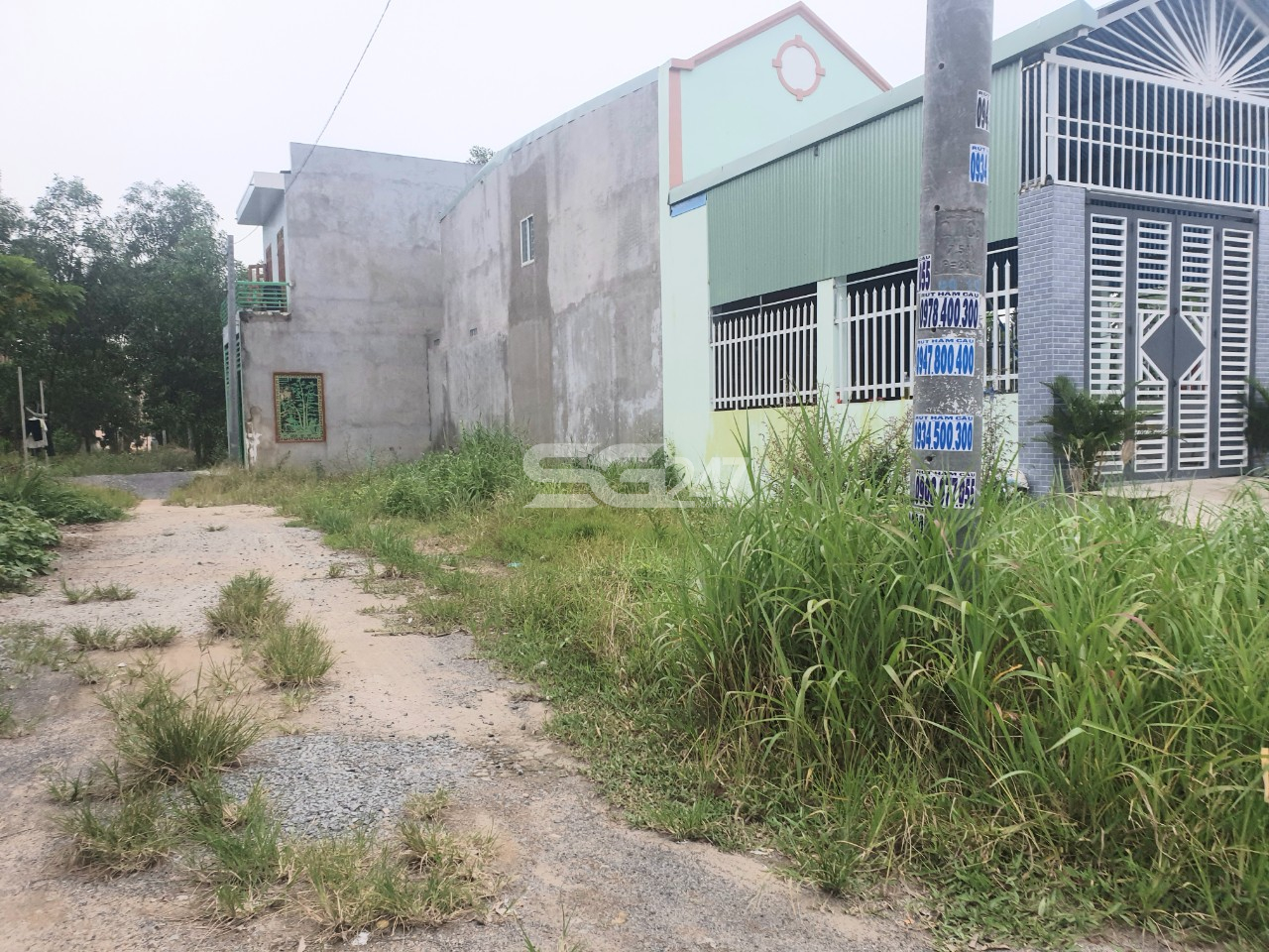 Hình ảnh: những căn nhà hoành tráng được xây dựng trên đất trồng lúa thuộc tờ 87 thửa 63 do ông Nguyễn Minh Nhân là chủ sử dụng tại ấp Đồng, phường Phước Tân, TP Biên Hòa, tỉnh Đồng Nai