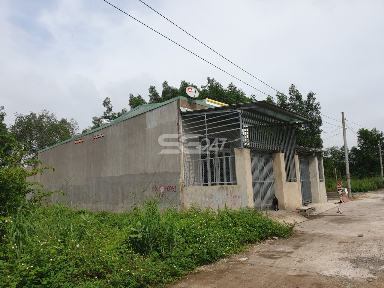 Hình ảnh:Căn nhà được xây dựng đã đưa vào sử dụng và thông tin rao bán lô nền ghi ở bức tường nhà trên khu đất trồng lúa thuộc tờ bản đồ số 101, thửa 283 do ông Nguyễn Minh Nhân là chủ sử dụng tại ấp Đồng, phường Phước Tân, thành phố Biên Hòa, Đồng Nai