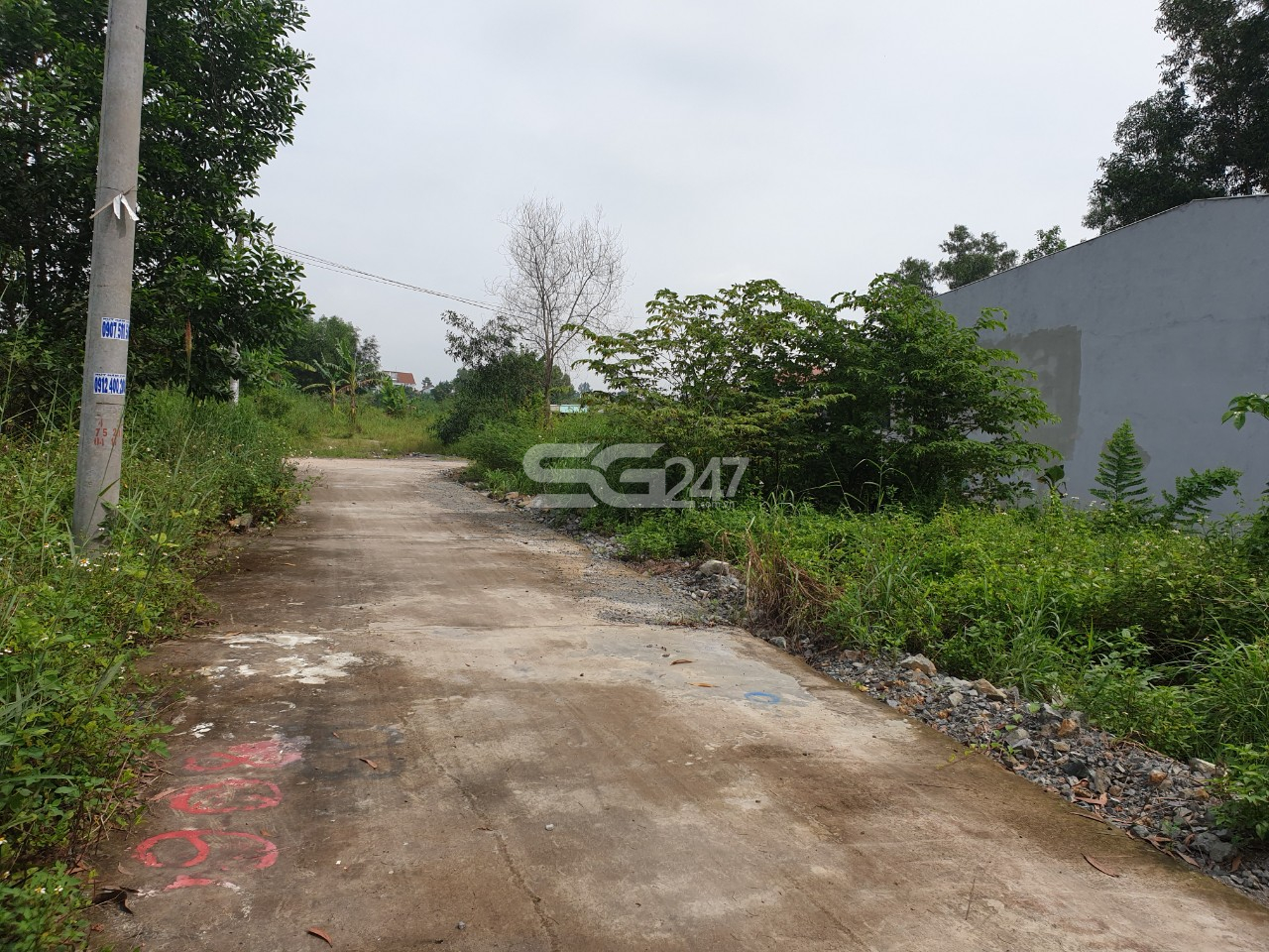 Hình ảnh: Đường đổ bê tông, trồng trụ kéo điện trên khu đất thuộc tờ bản đồ số 101, thửa 283 do ông Nguyễn Minh Nhân là chủ sử dụng tại ấp Đồng, phường Phước Tân, thành phố Biên Hòa, Đồng Nai