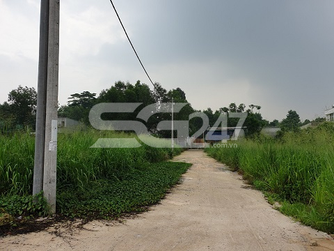 Hình ảnh đầu tư hạ tầng làm đường, trồng trụ nối điện tại tờ bản đồ 55 thửa 139
