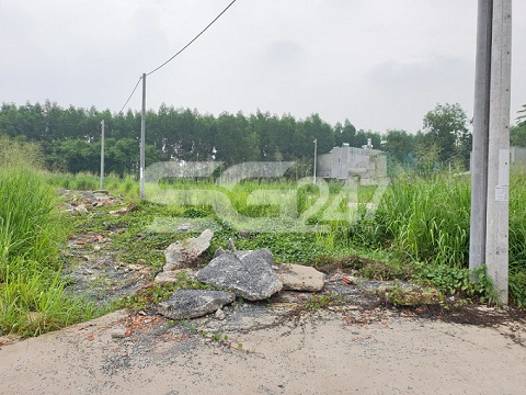 Hình ảnh đoạn đường bê tông trên khu đất nông nghiệp bị tháo dỡ nhưng các trụ điện thì vẫn sừng sững
