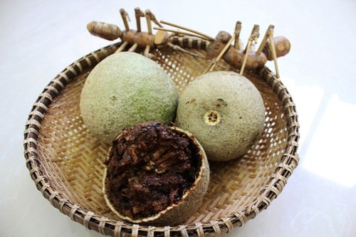 trai-quach-tra-vinh-cang-an-cang-thich-2_HKOP