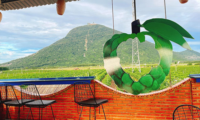 thumb_local-1