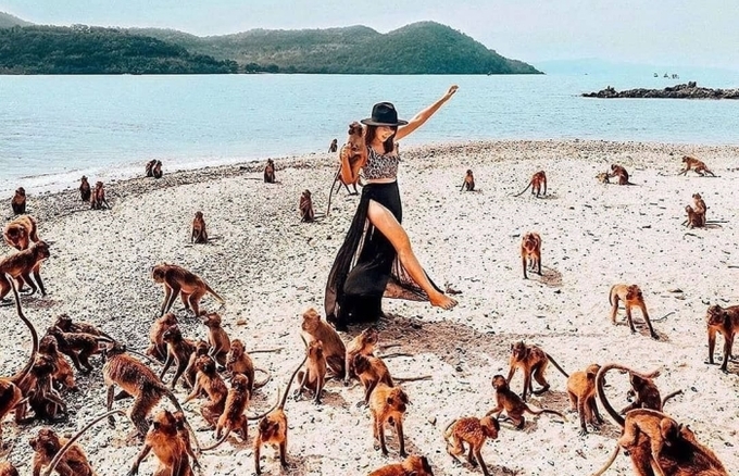 Đúng như tên gọi đảo Khỉ Nha Trang, nơi đây được mệnh danh là vương quốc các loài khỉ. Ảnh: hotspotbucketlist