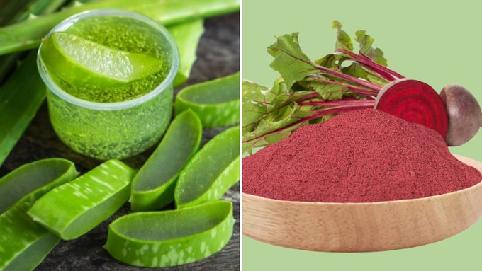 Công thức son từ gel lô hội và bột củ dền