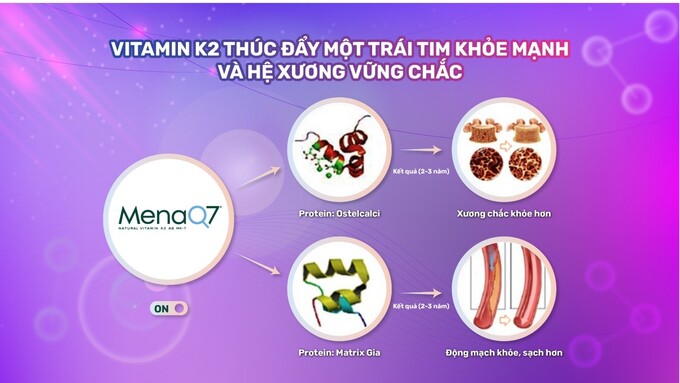 Vitamin K2 thúc đẩy một trái tim khỏe mạnh và hệ xương vững chắc