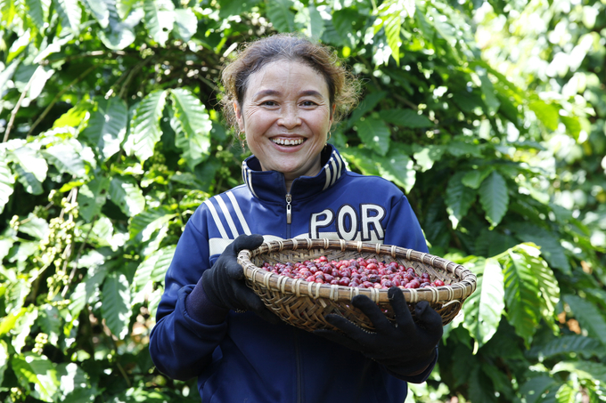 NESCAFÉ Plan góp phần nâng cao vai trò của phụ nữ trong canh tác cây cà phê