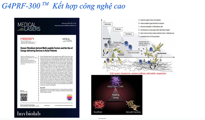 Bằng chứng nghiên cứu