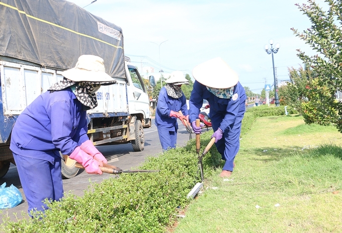 Công nhân của Ban Quản lý công trình đô thị và vệ sinh môi trường huyện Chư Sê cắt tỉa cây xanh 
