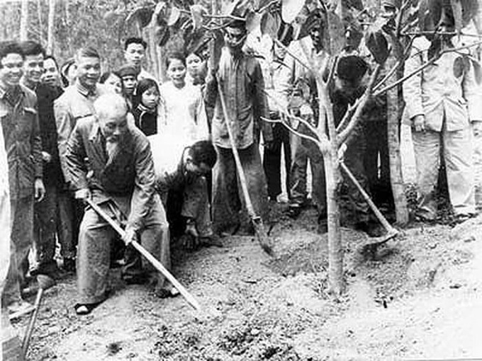 Bác Hồ trồng cây đa tại xã Vật Lại, Ba Vì, Hà Tây (nay là Hà Nội) ngày 16/2/1969