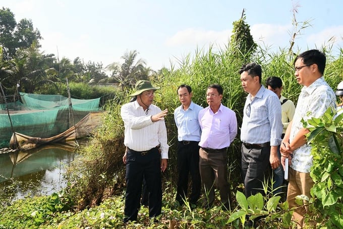 Bí thư Tỉnh ủy, Chủ tịch HĐND tỉnh Nguyễn Tiến Hải (người đứng ở bìa trái) kiểm tra sụt lún, sạt lở trên địa bàn xã Khánh Bình Tây
