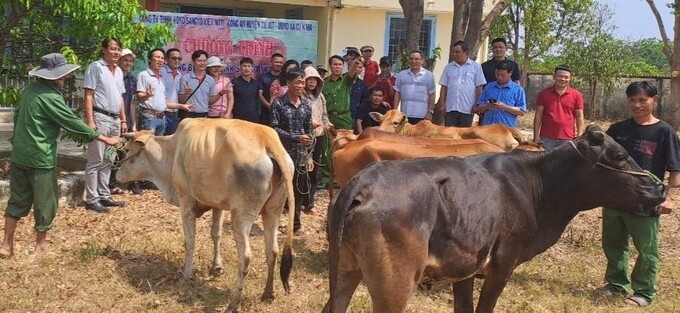 Trao tặng 5 con bò giống sinh sản cho các hộ nghèo trên địa bàn xã