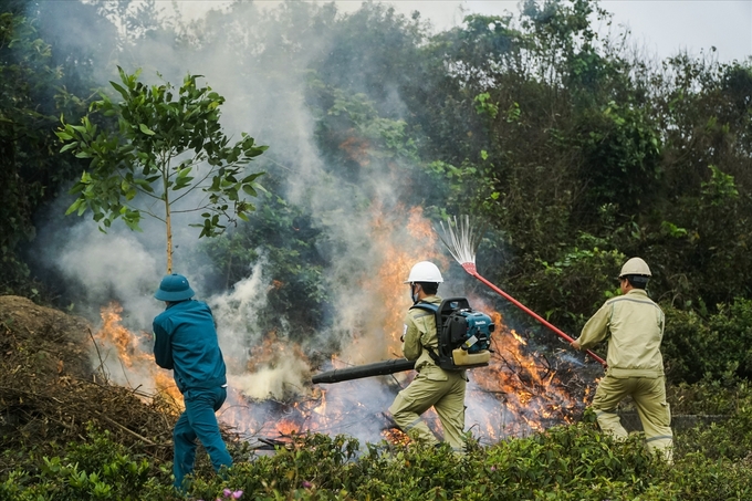 Kon Tum triển khai các giải pháp phòng cháy chữa cháy rừng