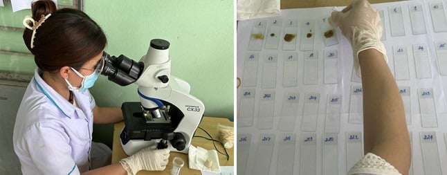 Hoạt động xét nghiệm điều tra giun, sán tại trạm y tế xã Hòa Phong
