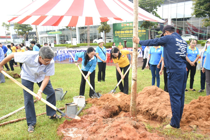 Nhân dân trên địa bàn huyện Hàm Thuận Bắc, TP. Phan Thiết ra quân trồng cây xanh