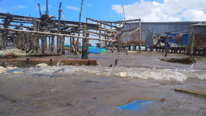 Nhiều ngôi nhà ven sông trên địa bàn huyện Ngọc Hiển đang bị sạt lở nghiêm trọng, đe dọa đến tính mạng và tài sản của người dân