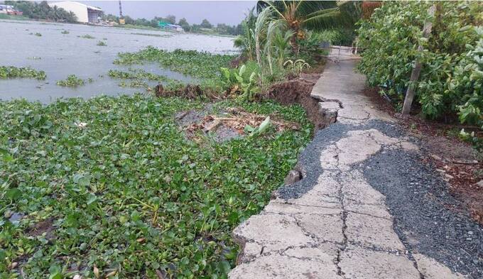 Long An tập trung chỉ đạo thực hiện công tác phòng, chống sạt lở bờ sông, kênh, rạch trên địa bàn tỉnh