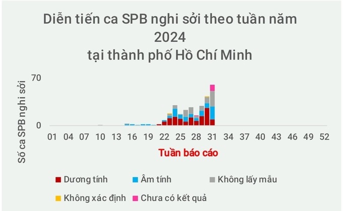 Biểu đồ diễn tiến ca bệnh sốt phát ban nghi sởi tại TP. Hồ Chí Minh năm 2024