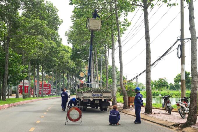 Công ty cổ phần công trình đô thị Trà Vinh kiểm tra, cắt tỉa cây xanh