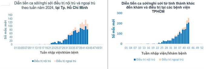 Tình hình dịch bệnh sởi tại TP. HCM tính đến tuần 43