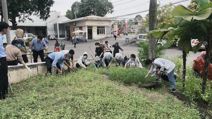 Đoàn viên  thanh niên và nhân viên y tế dọn dẹp cỏ, trồng thêm hoa