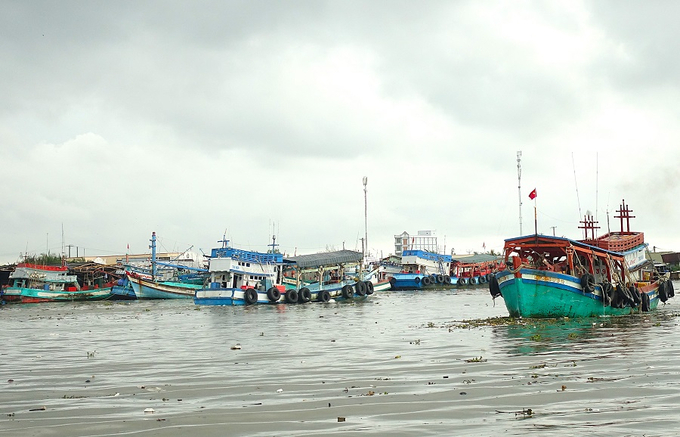 Ngư dân cần chủ động phó với gió mạnh, sóng lớn và mưa dông trên biển