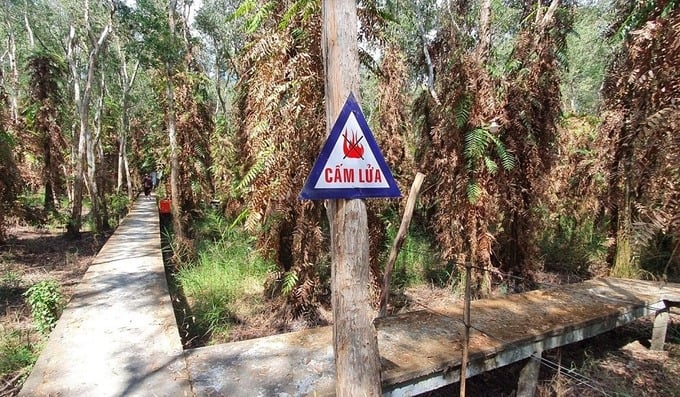Tăng cường thực hiện các biện pháp đảm bảo an toàn về PCCCR mùa khô 2024 - 2025 trên địa bàn tỉnh Cà Mau