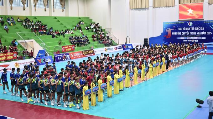 Các đội tham gia giải năm nay