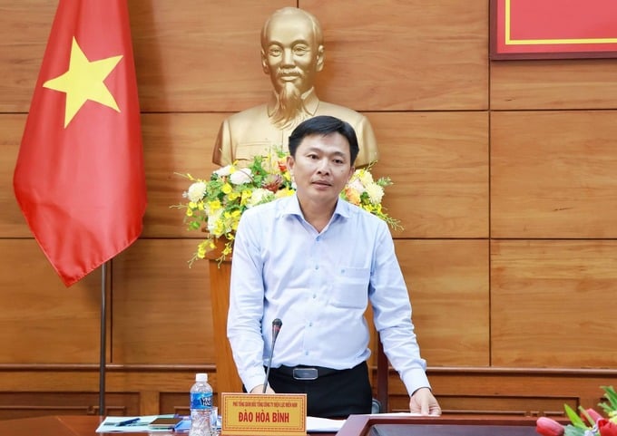 Ông Đào Hoà Bình – Phó Tổng Giám đốc Tổng Công ty Điện lực miền Nam phát biểu tại buổi làm việc