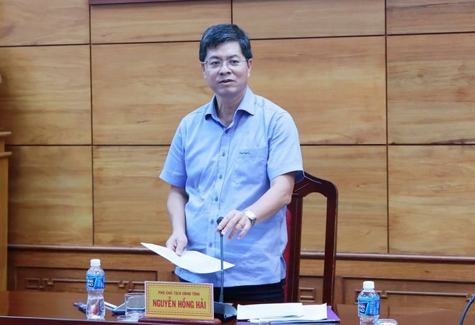 Ông Nguyễn Hồng Hải - Phó Chủ tịch UBND tỉnh Bình Thuận phát biểu kết luận buổi làm việc
