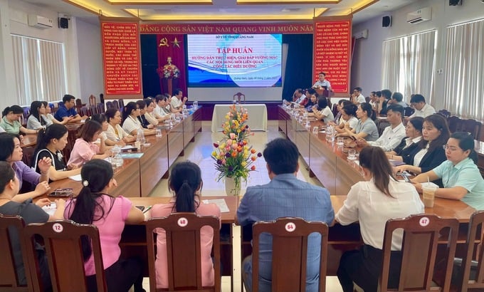 Quang cảnh lớp tập huấn