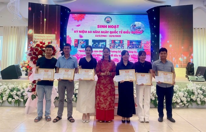 Hội điều dưỡng tỉnh Quảng Nam trao tặng giấy khen cho các cá nhân có thành tích xuất sắc