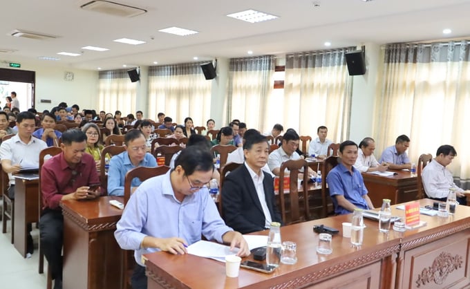 Các đại biểu tham dự hội nghị