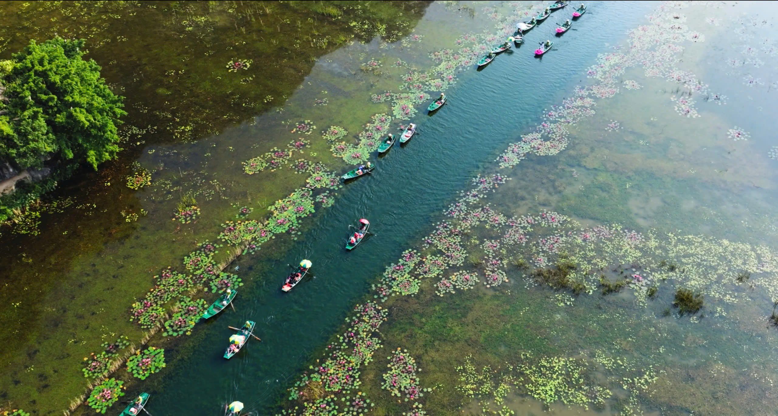 TBC-media-ra-mat-mv-ninh-binh-oi-1
