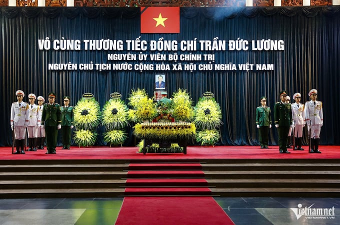 w-tieu-binh-25592