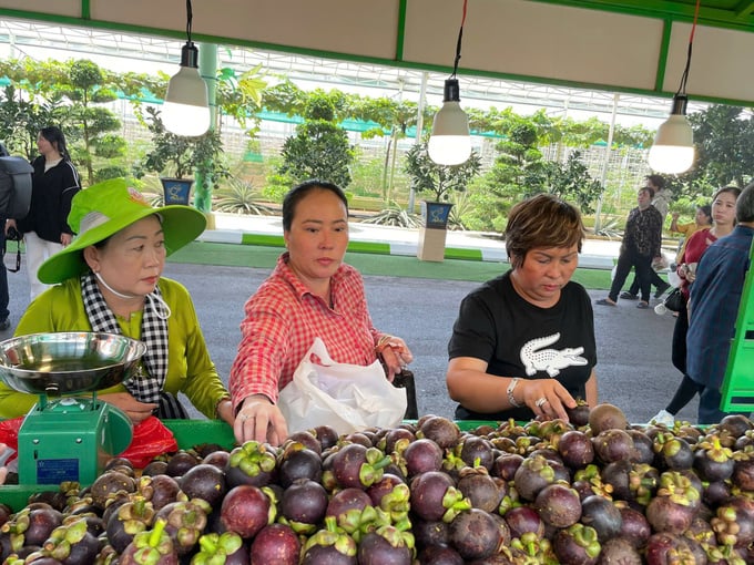 Lễ hội quy tụ hàng trăm loại trái cây đặc sản