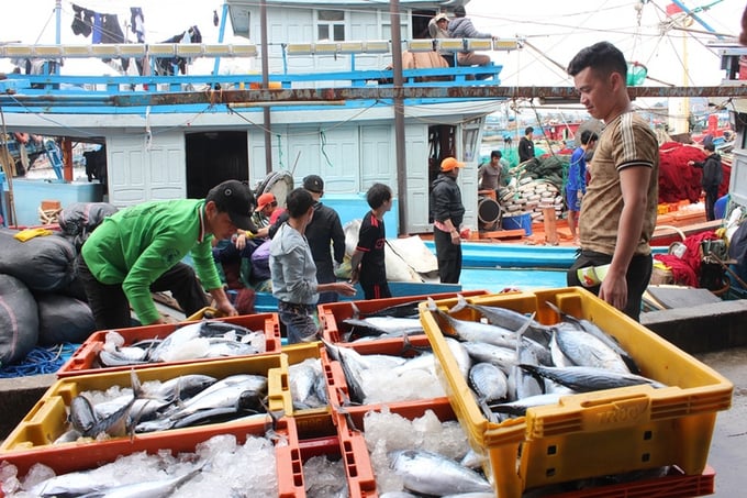 iuu