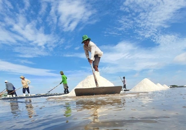 Quản lý sản xuất, kinh doanh và kiểm soát an toàn thực phẩm muối năm 2025