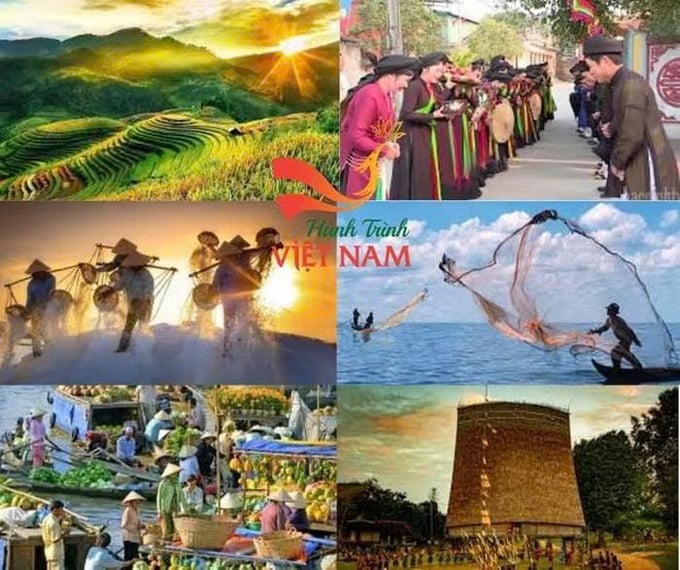 pln1